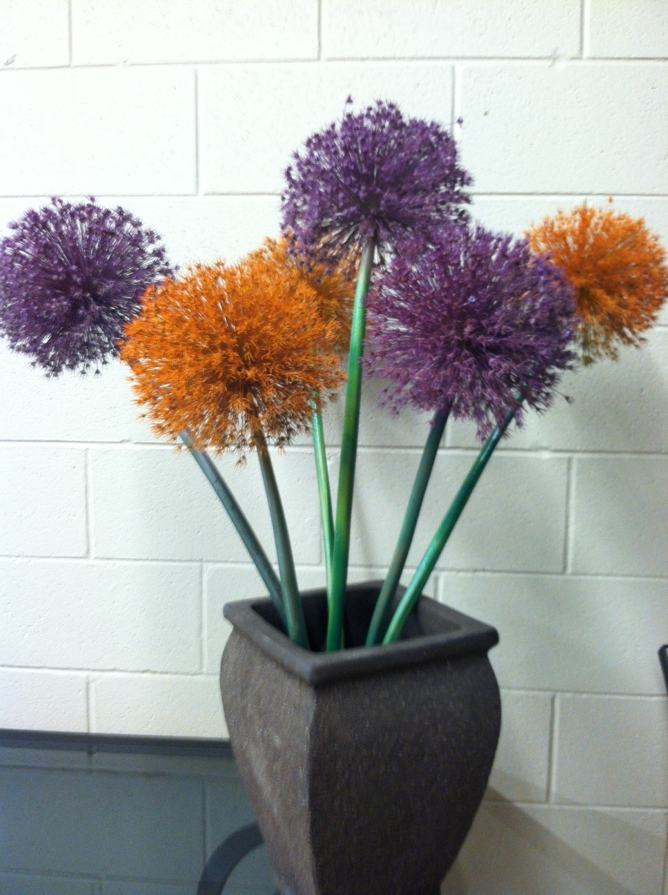 Spray Painting Allium, How to Spray Paint Allium Flowers